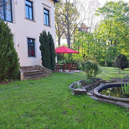Gaestehaus Villa Seraphinum Dresden Eksteriør billede